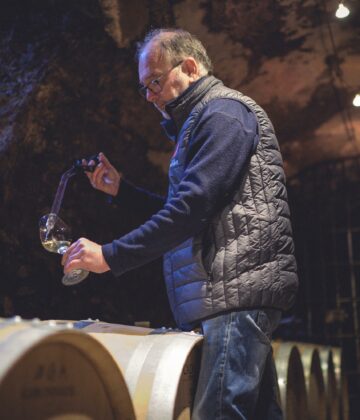 IN VINO