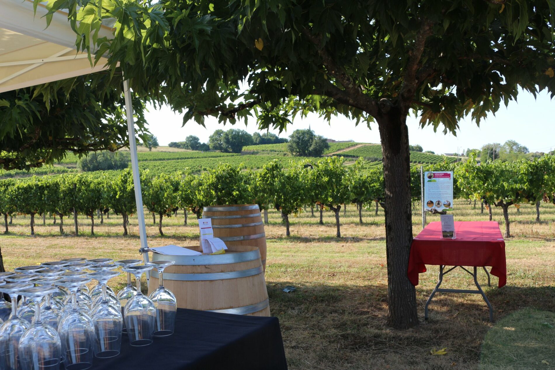 Apéritifs vignerons Château Jeantieu