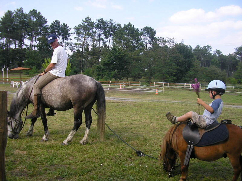 Balade poney en main
