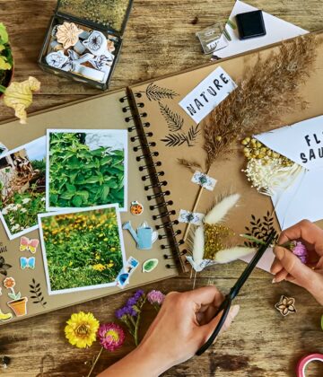 carnet-de-voyage