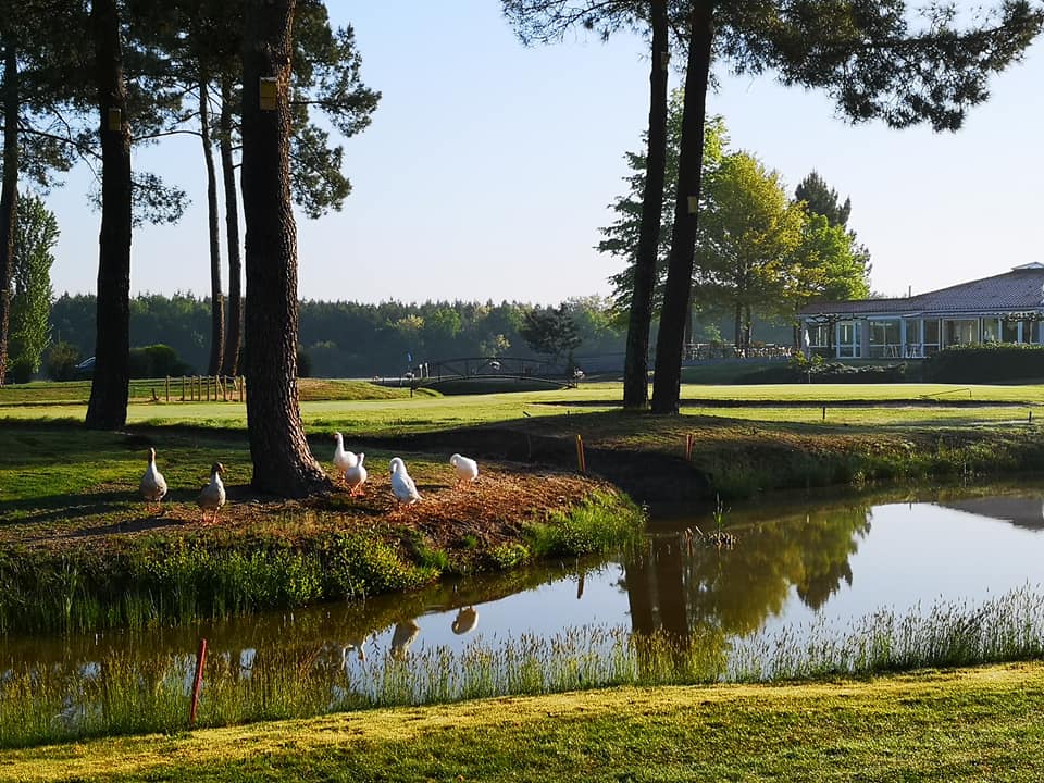 Golf des Graves et du Sauternais - SAINT-PARDON-DE-CONQUES - Sud-Gironde
