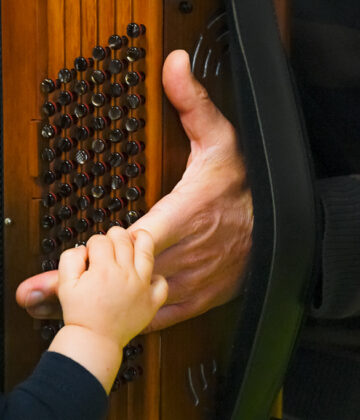 67_MEDI23_ravinerousse_bullesgirondines