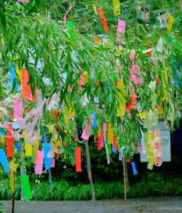 Arbre à souhaits japonais