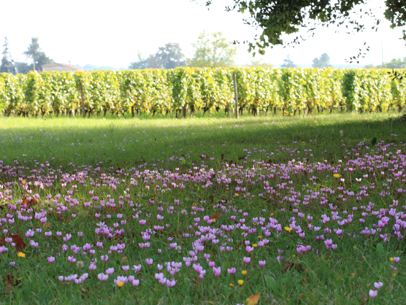 Destination Garonne, Château d'Armajan des Ormes, Preignac