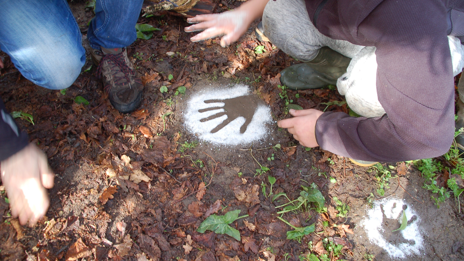 Agenda en ligne - Atelier Arts et Nature Réserve Géologique Saucats