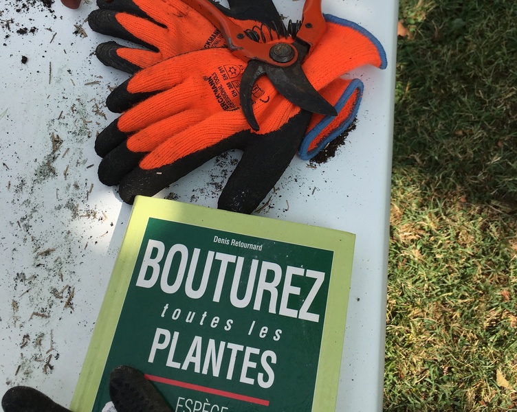 Atelier Bouturage