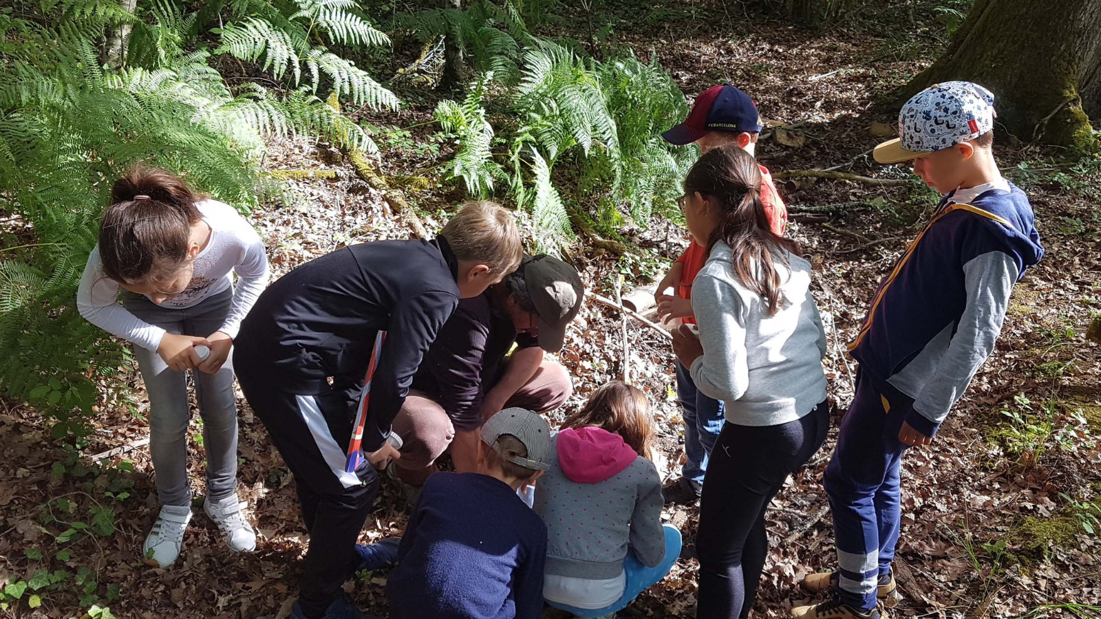Agenda en ligne - Atelier de la foret Réserve Géologique Saucats