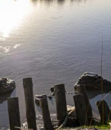 Auringleta découverte nature