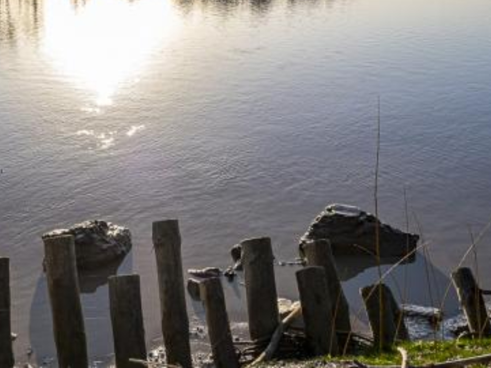 Auringleta découverte nature