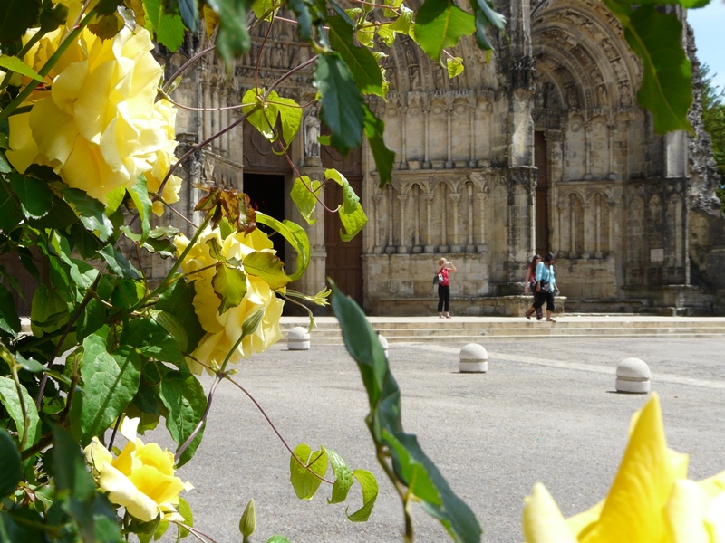 Bazas  (3)