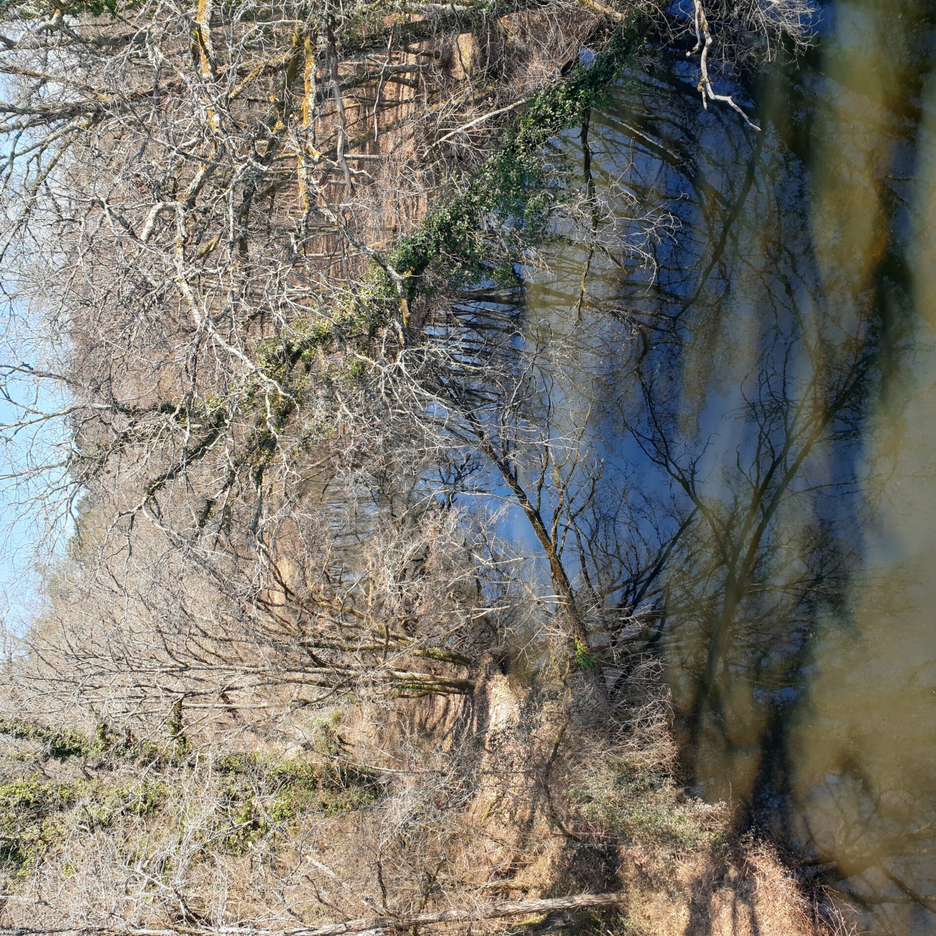 Belvédère du Ciron 3