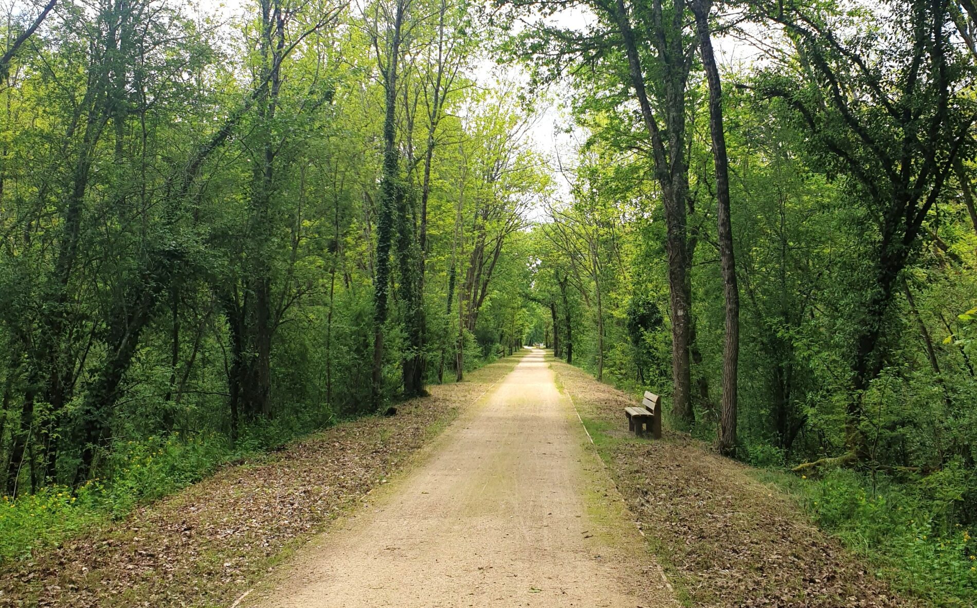 Belvédère du Ciron 4