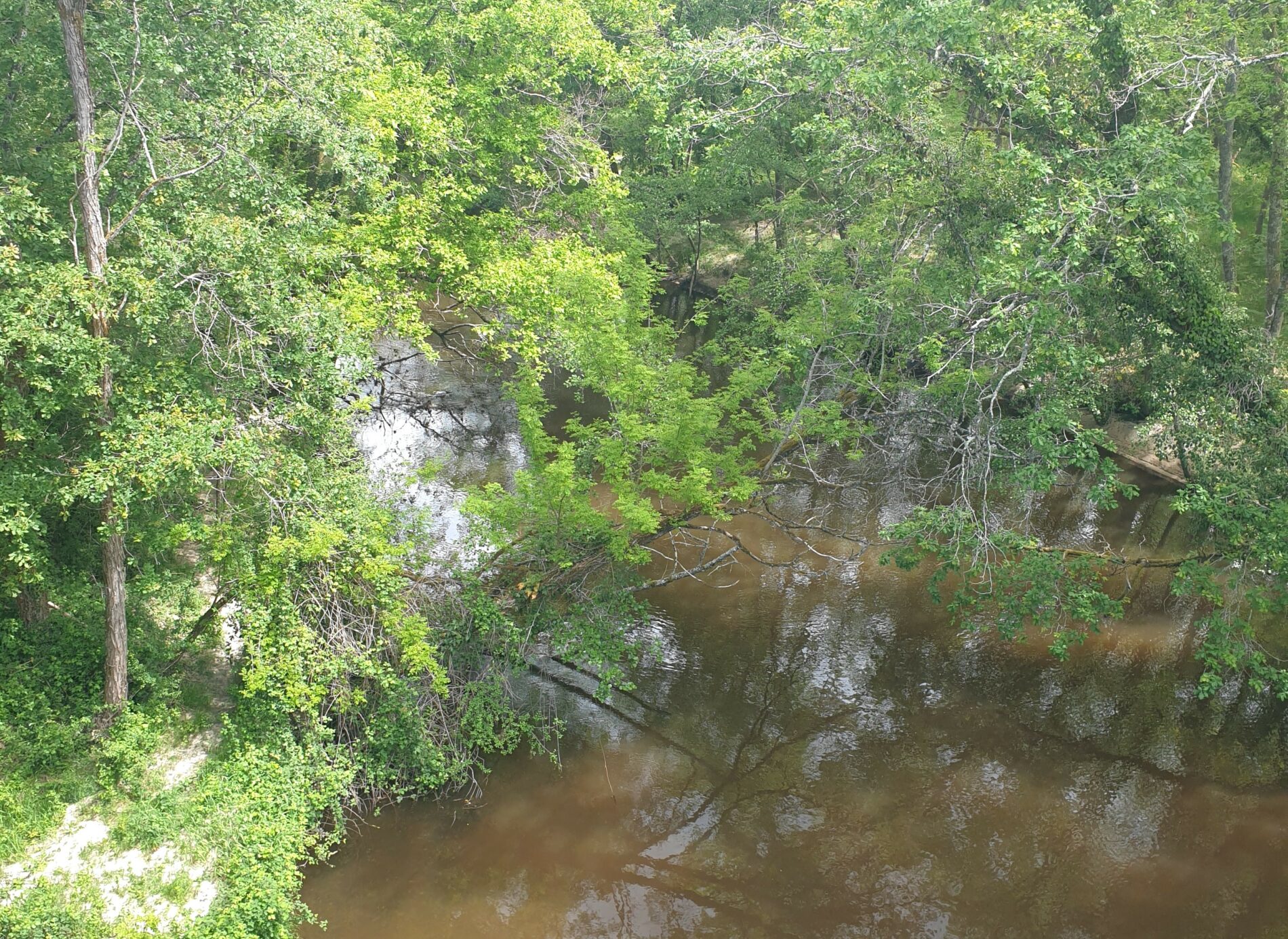 Belvédère du Ciron 8
