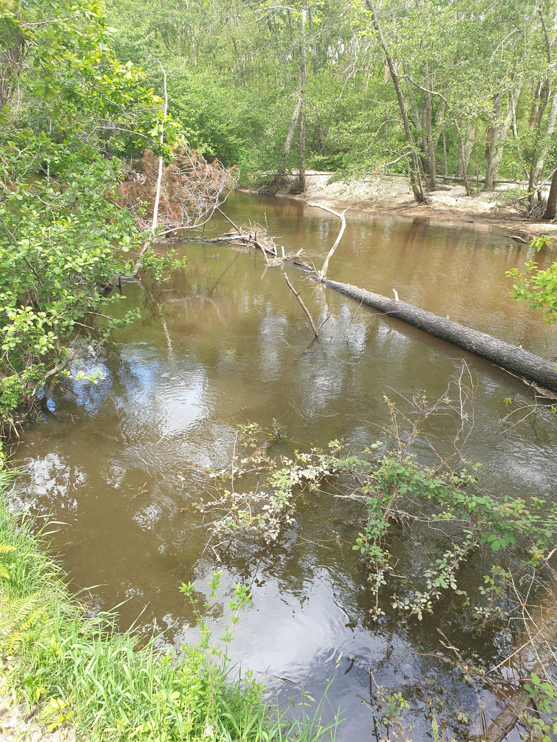 Belvédère du Ciron 9