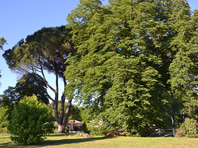 Bernos-Beaulac - Domaine de Lyran meublé 2020 (5)