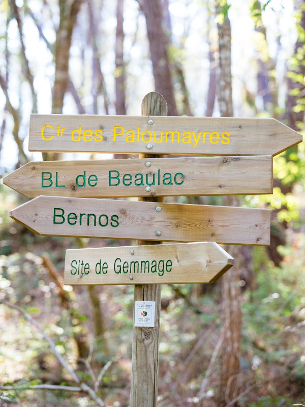 Bernos-Beaulac - randonnée (1)