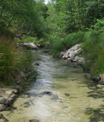 Bernos beaulac