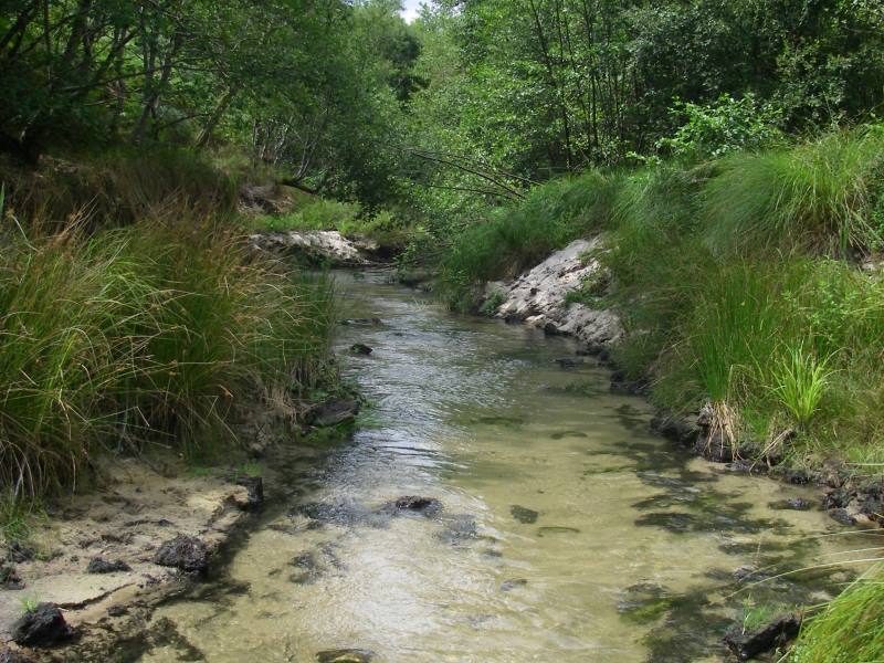 Bernos beaulac