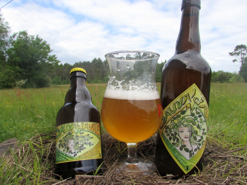 BiereSauvajaune3