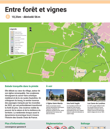 BL_ENTRE FORET ET VIGNES