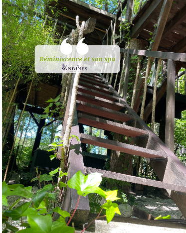 Cabane dans les arbres et spa en Gironde