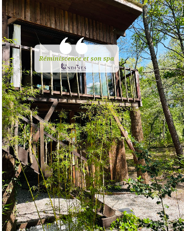 Cabanes dans les arbres et spa sud gironde