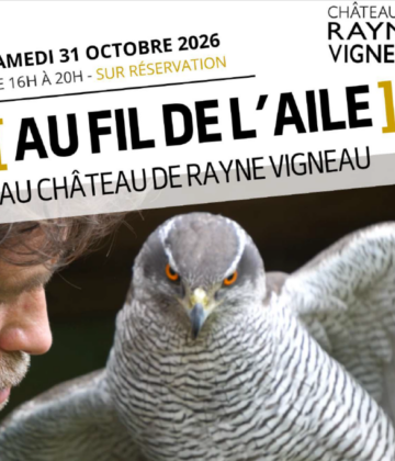 Au fil de l'aile