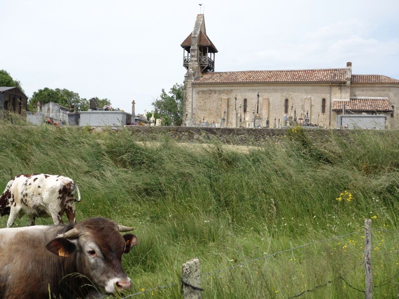 Cazats - église - ph. Cathy F