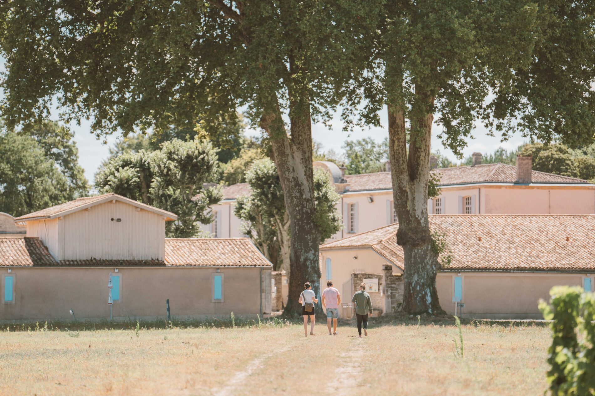 Château Bastor-Lamontagne-171-compressed (1)