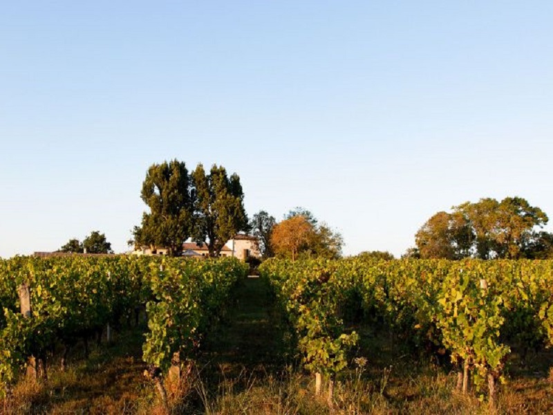 Château Caillivet