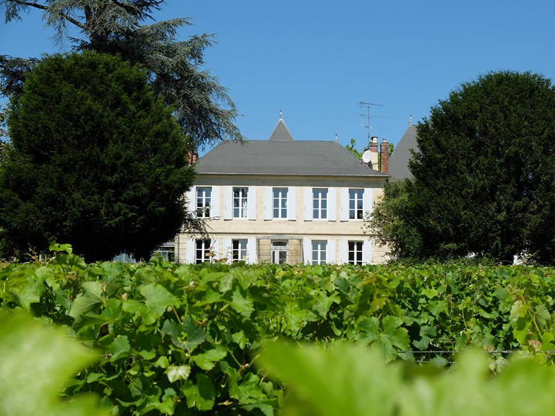 Destination Garonne, Château Jouvente, Illats