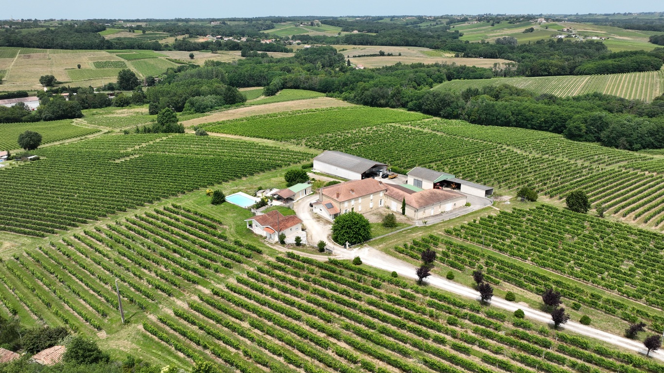 Château La Piolette - LE PIAN SUR GARONNE - Sud-Gironde