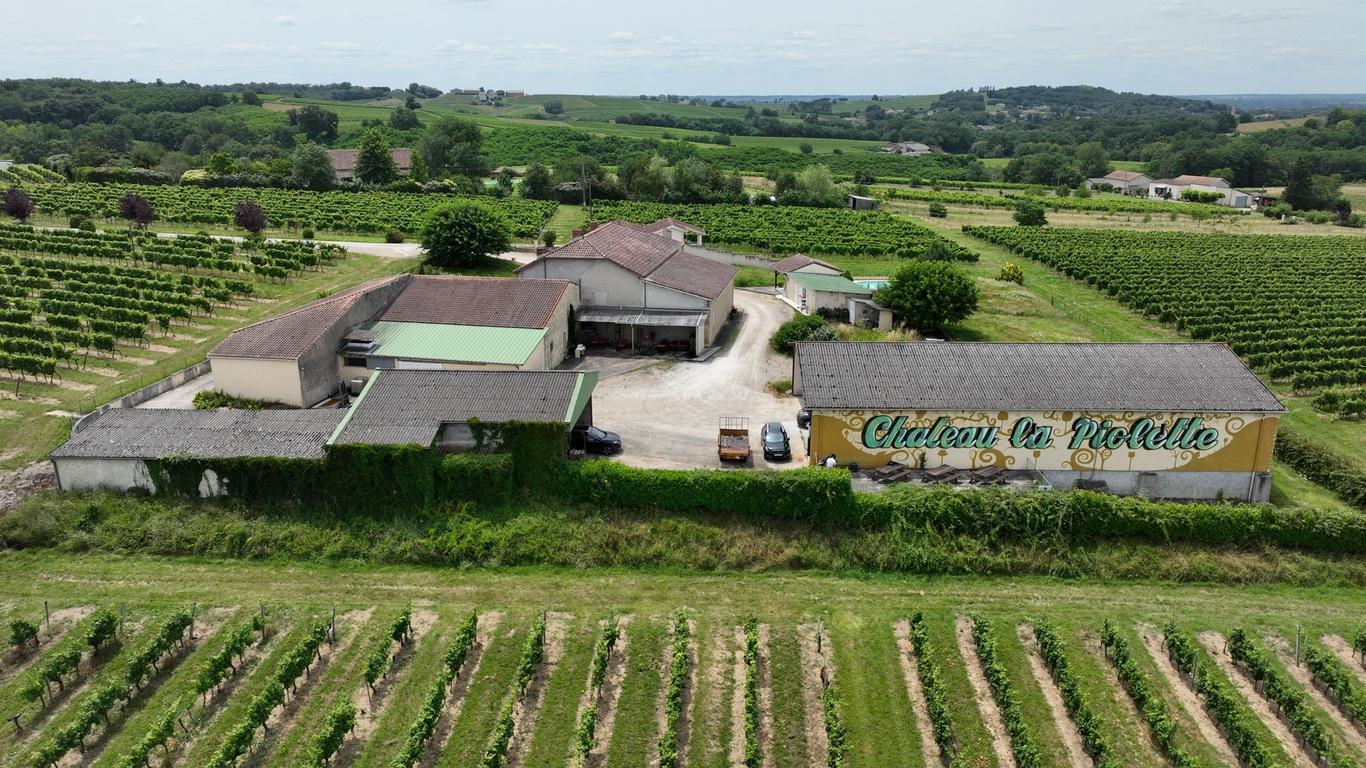 Château La Piolette - LE PIAN SUR GARONNE - Sud-Gironde