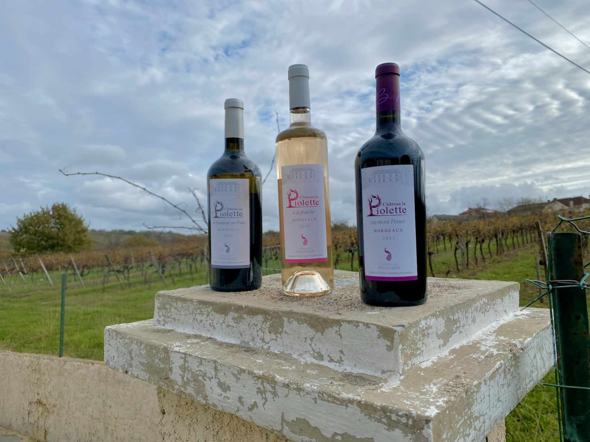 Château La Piolette - LE PIAN SUR GARONNE - Sud-Gironde