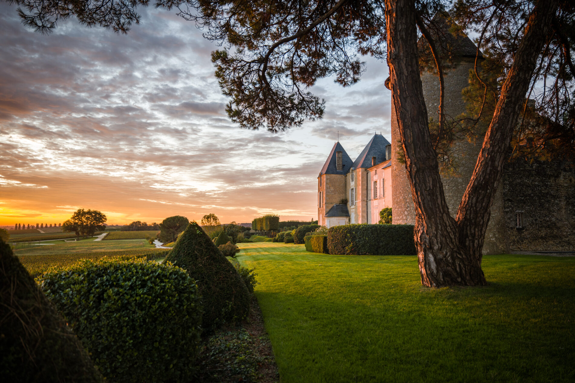 Château d'Yquem (C) Christophe Goussard  (1)