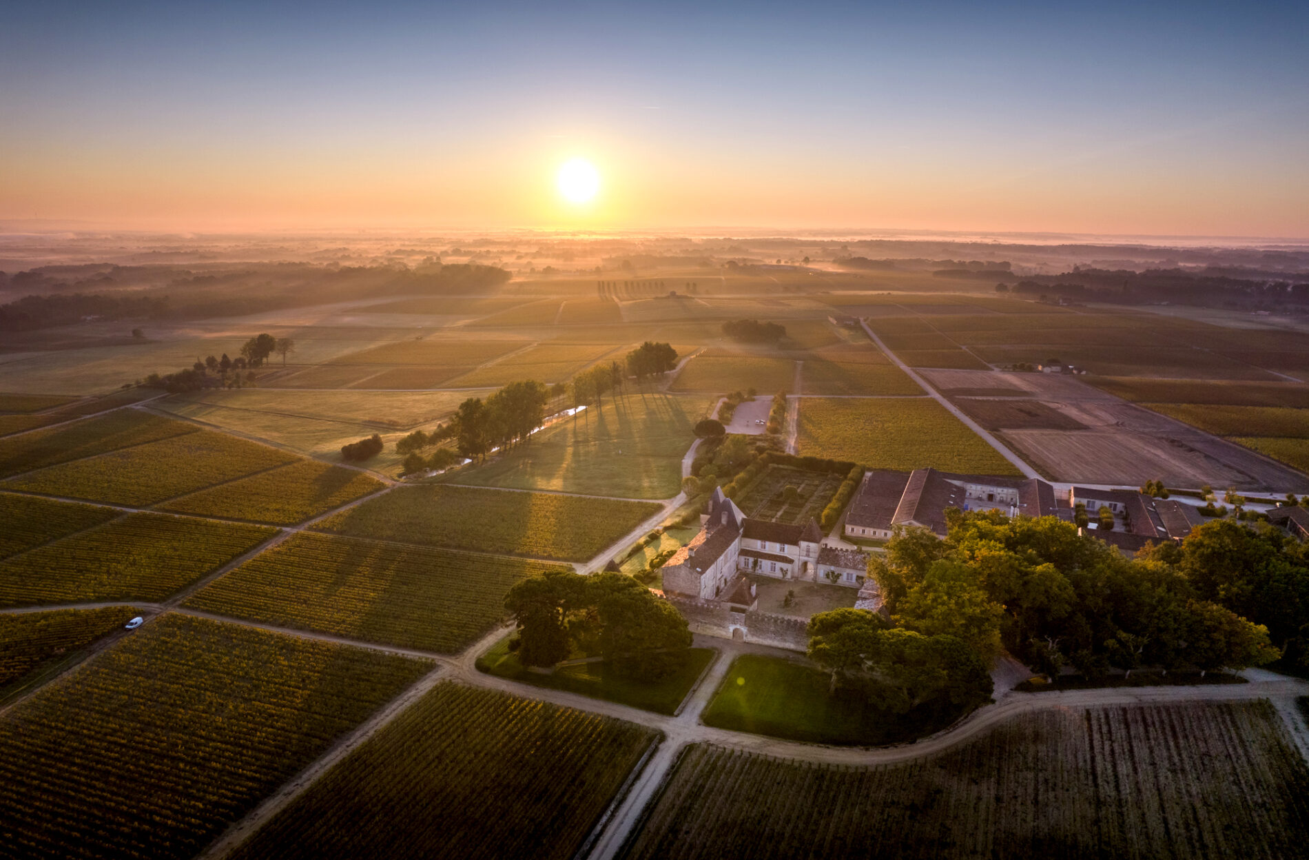 Château d'Yquem (C) Deepix (14)