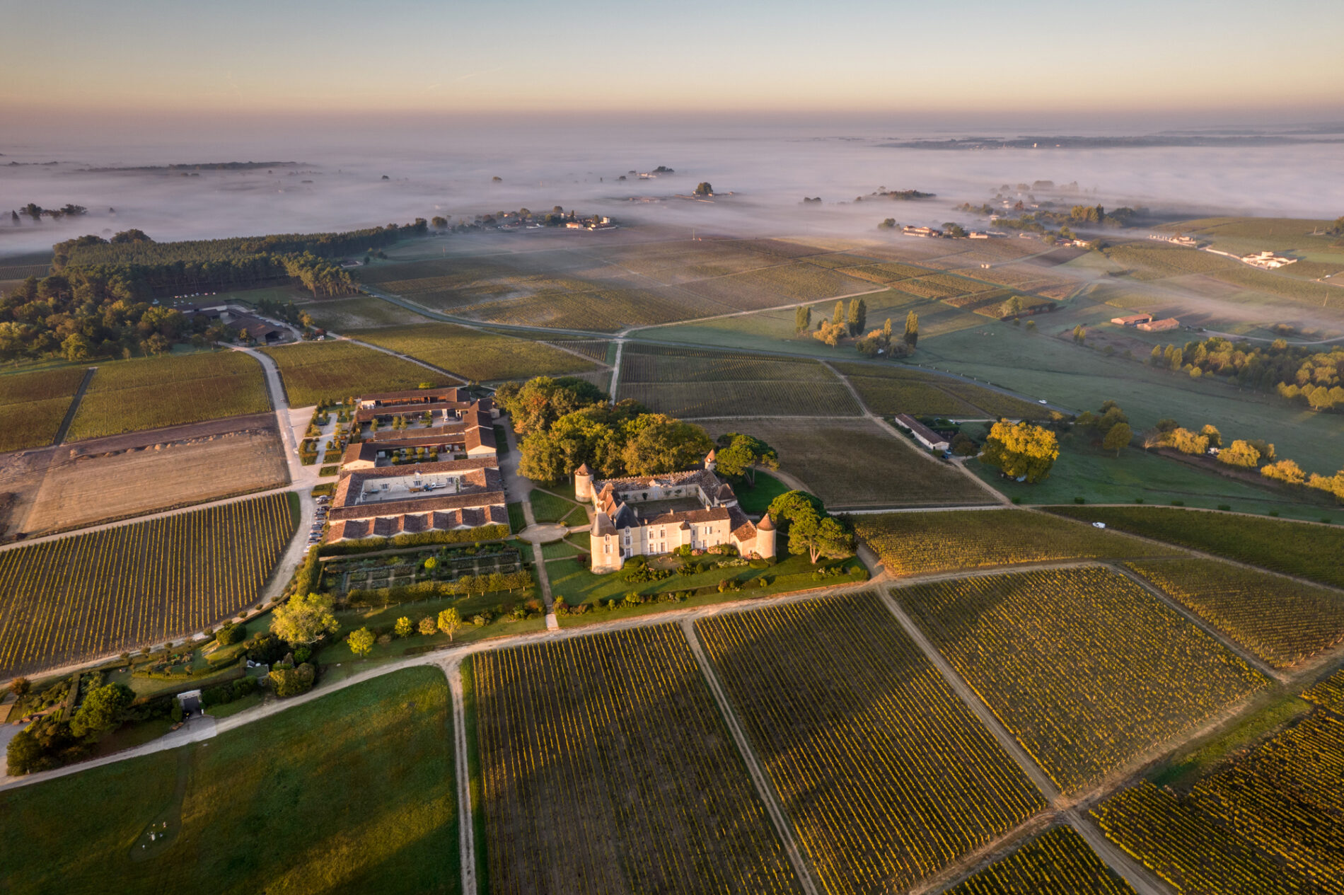 Château d'Yquem (C) Deepix (16)