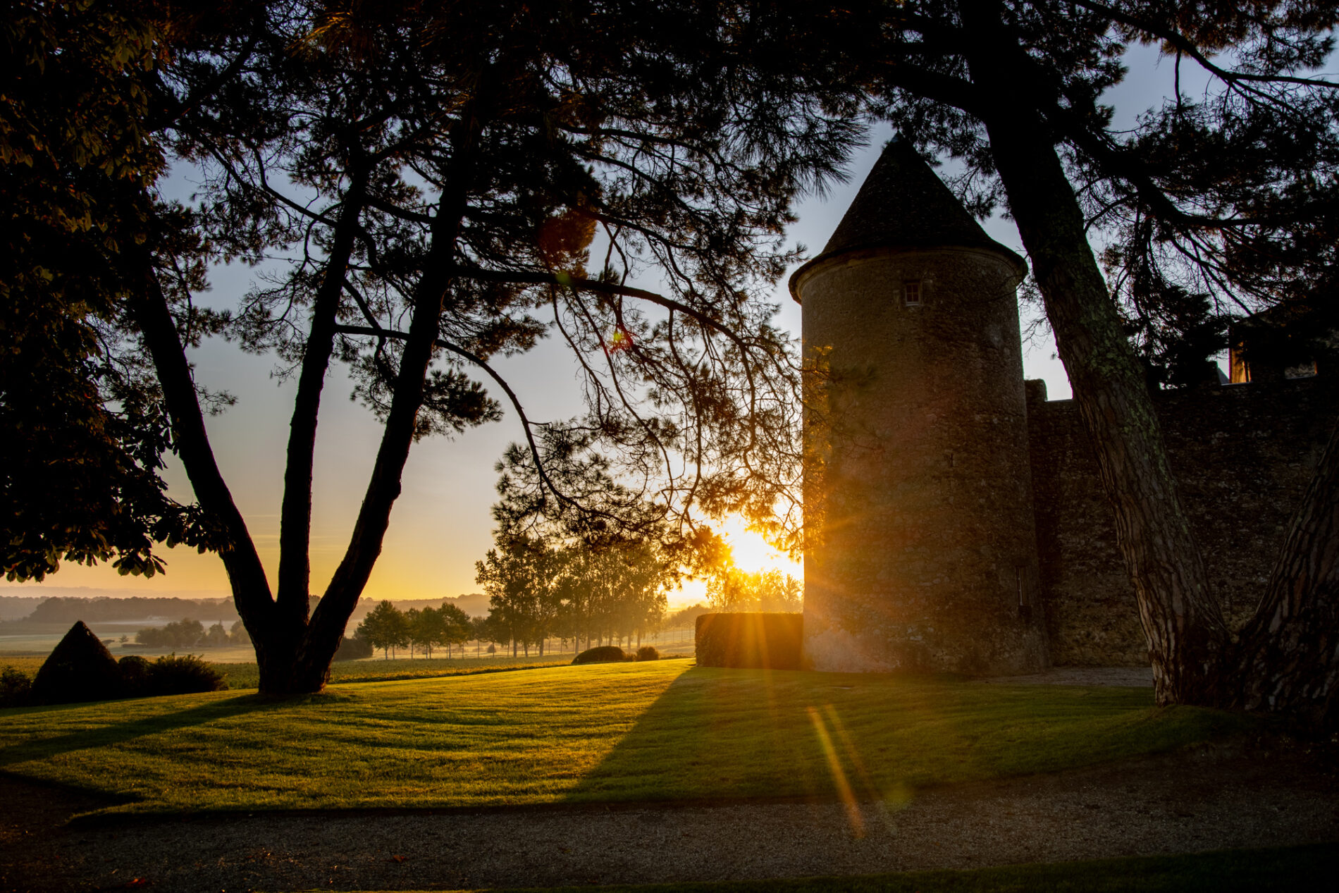 Château d'Yquem (C) Deepix (19)