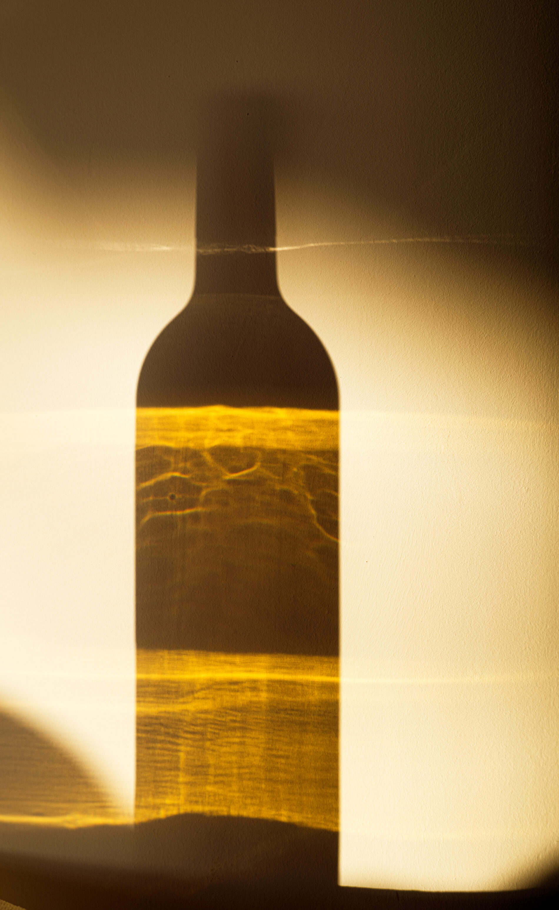 Château d'Yquem 2022 (C) Christophe Goussard (1)