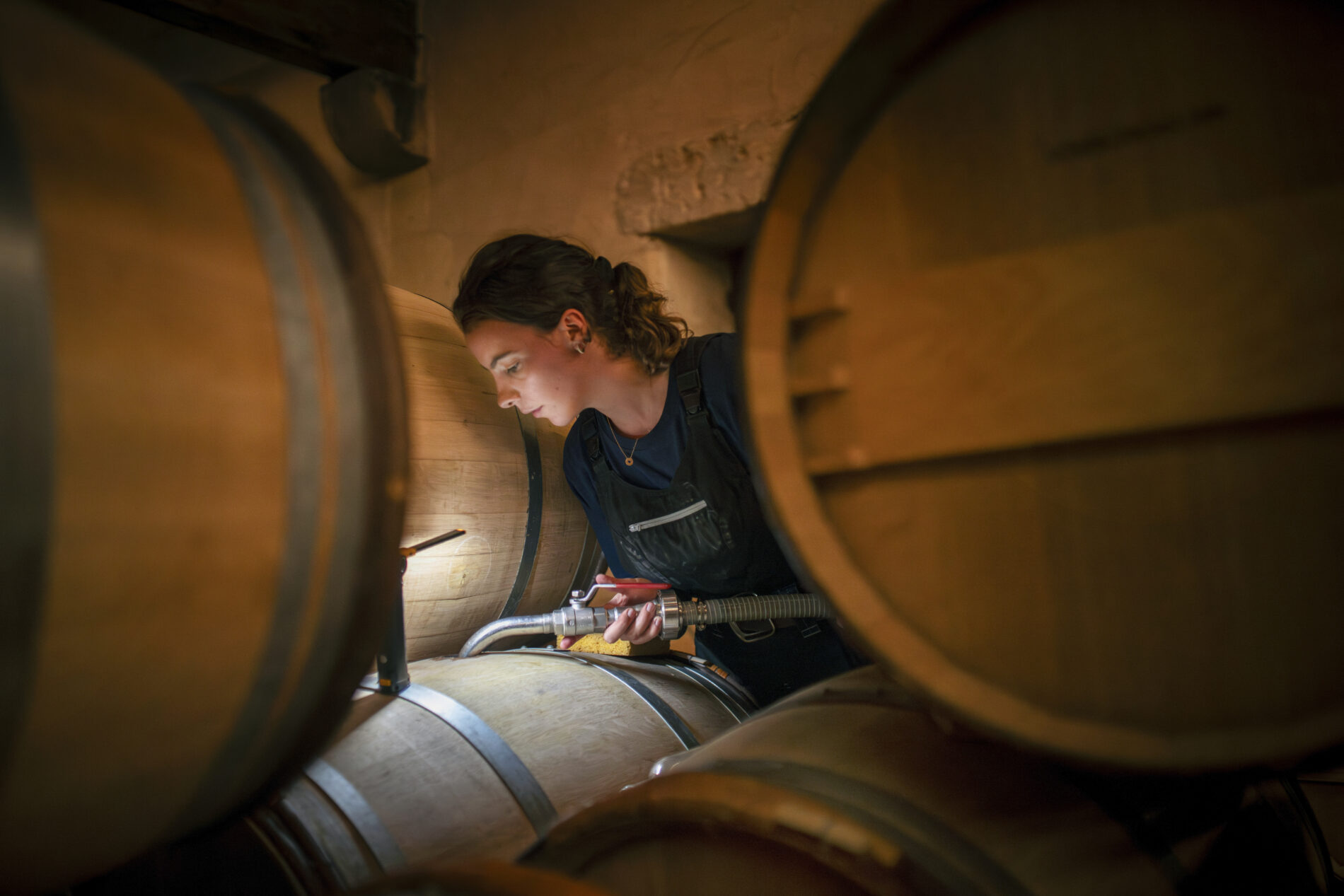 Château d'Yquem(C) Federico Garcia  (2)