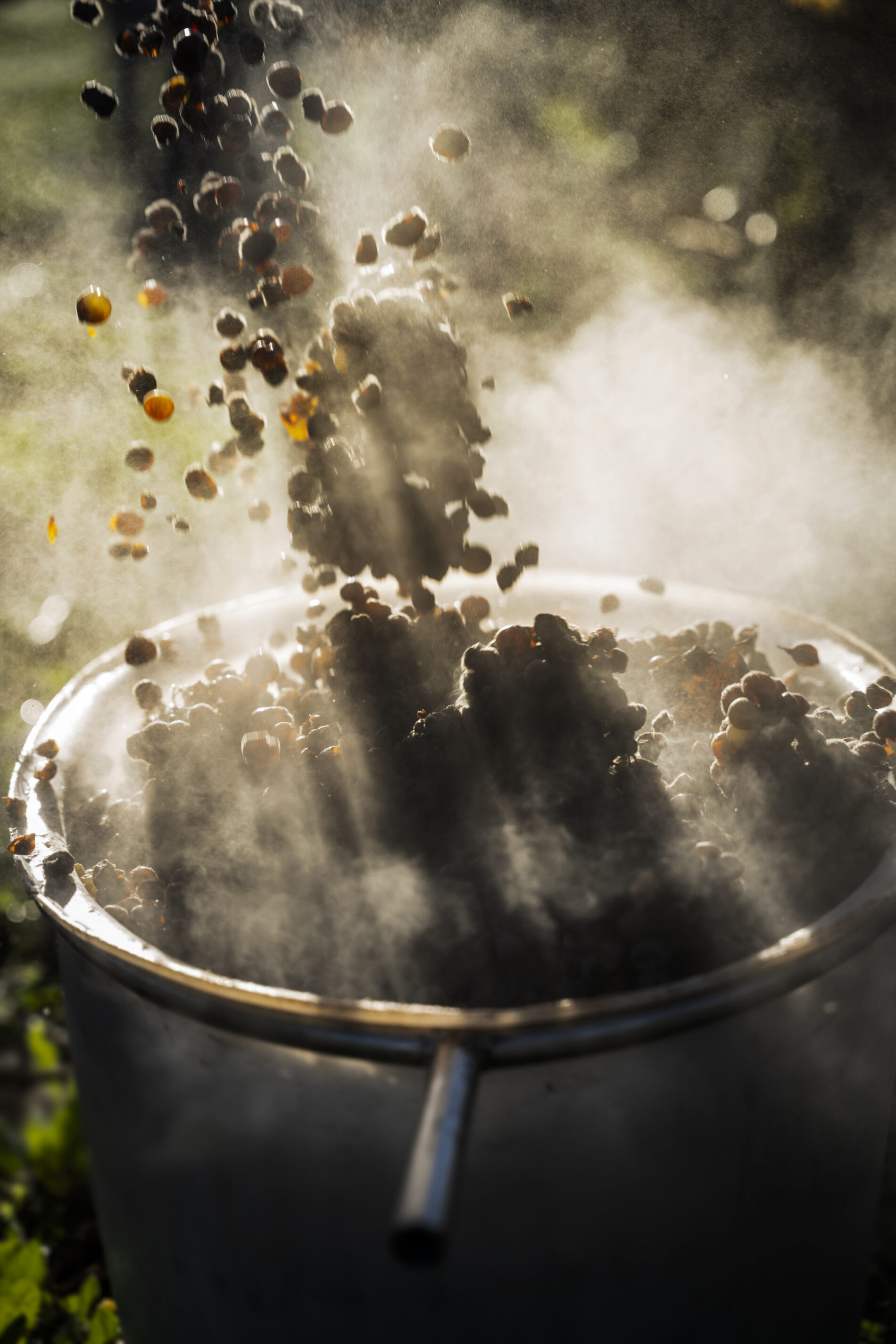 Château d'Yquem(C) Federico Garcia  (3)