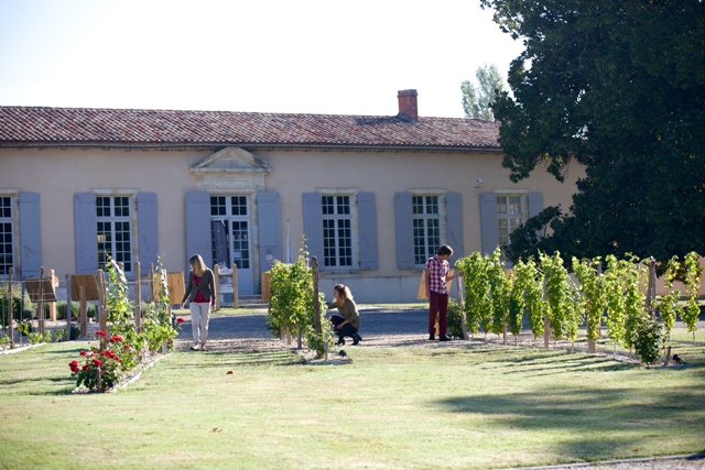 Destination Garonne, Maison des vins de Cadillac, Cadillac