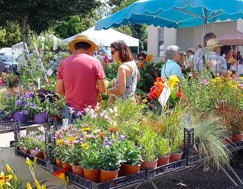 Marché aux fleurs