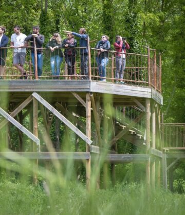 Destination Garonne, Ile de Raymond, Paillet