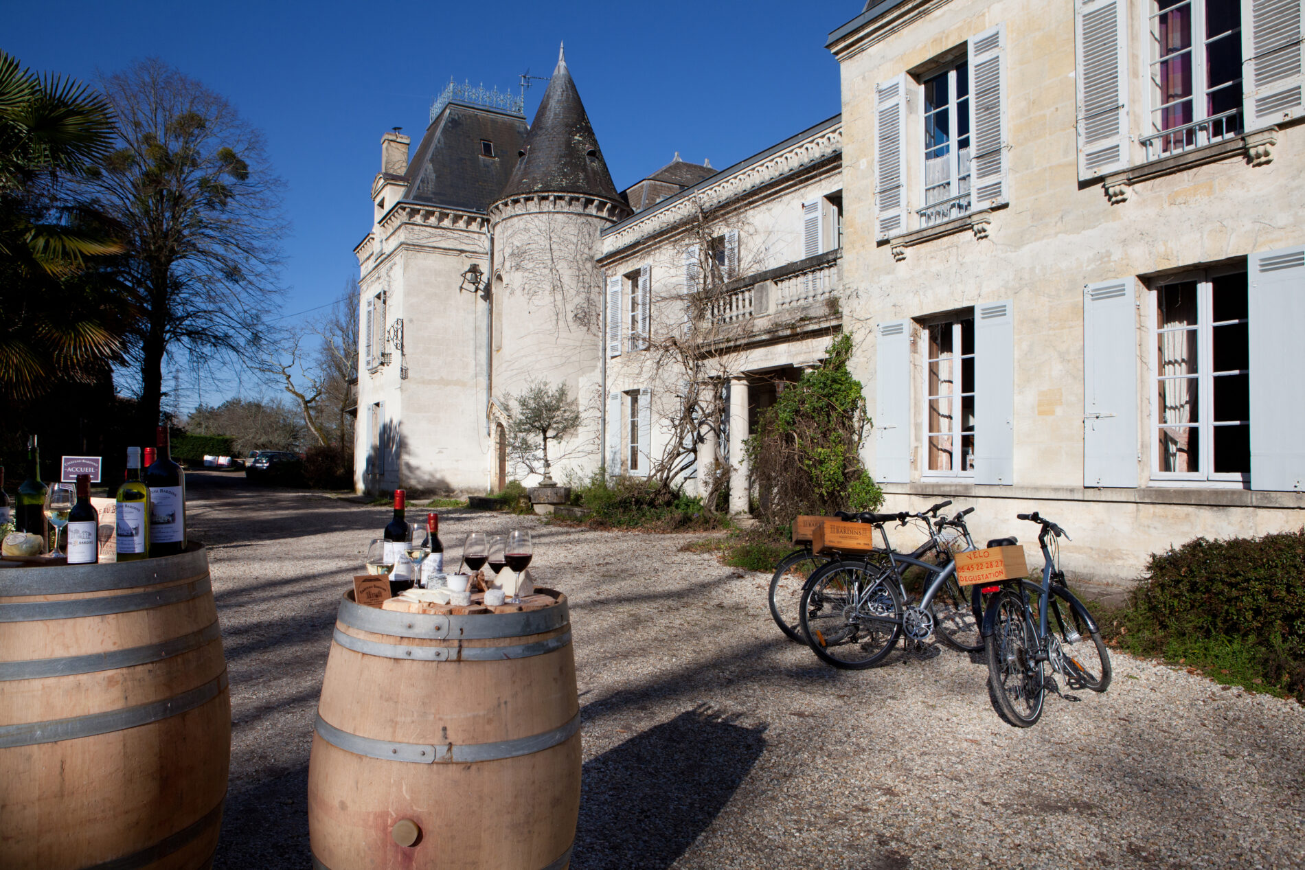 Decor_devant_Bardins©Elisabeth_ROGER-53