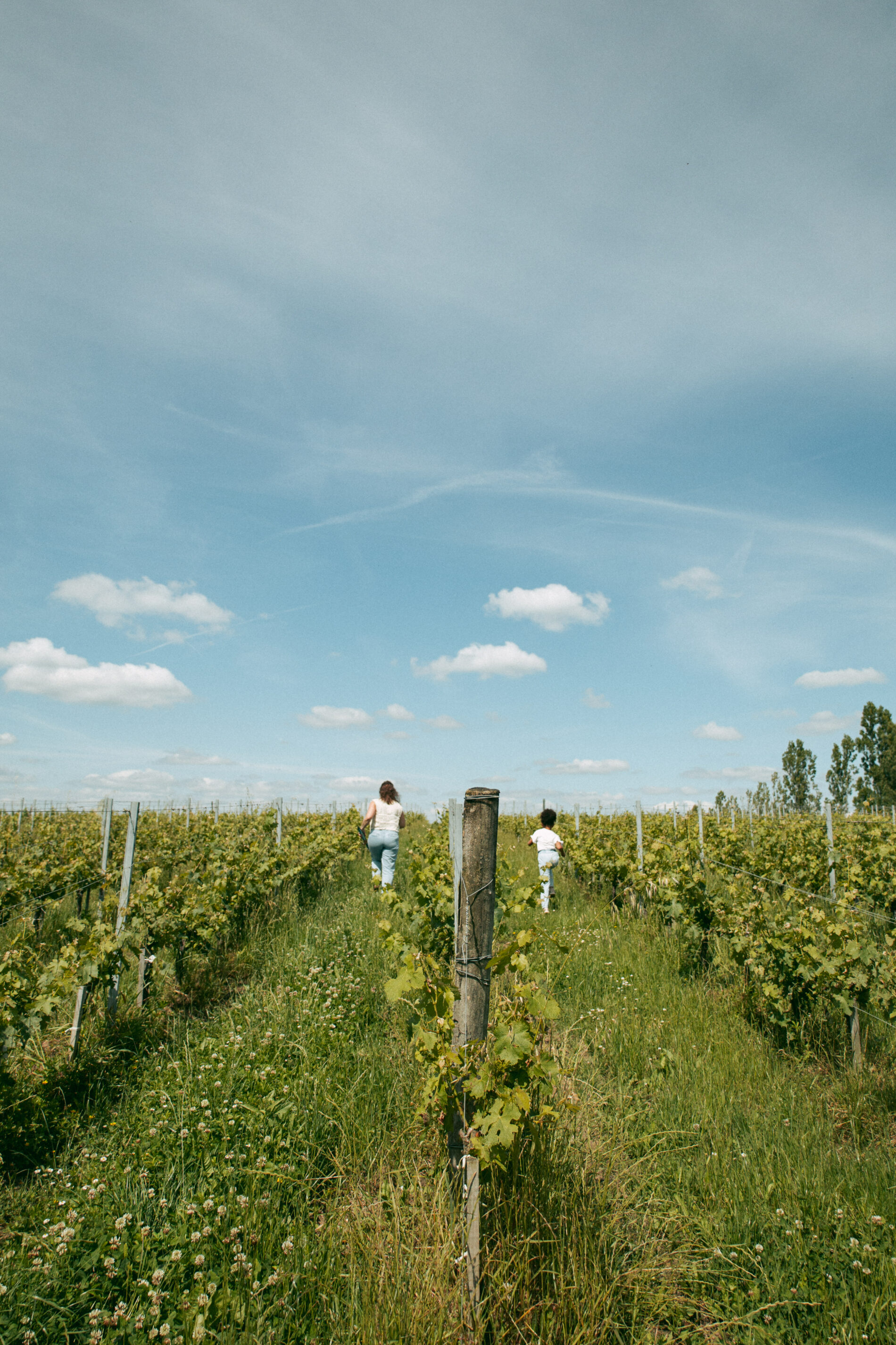 Domaine de Malagar - la Gironde du Sud