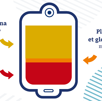 EFS-INFO-Composition-poche-sang