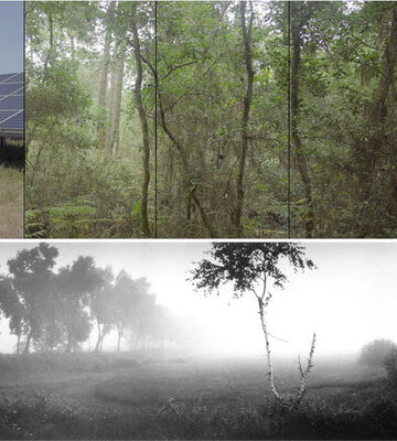 Exposition Forêts