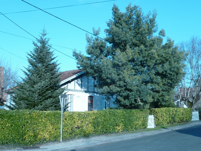 Gîte Arino - HOSTENS - Sud-Gironde