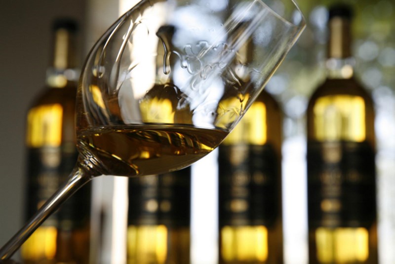 Château Guiraud - SAUTERNES - Sud-Gironde